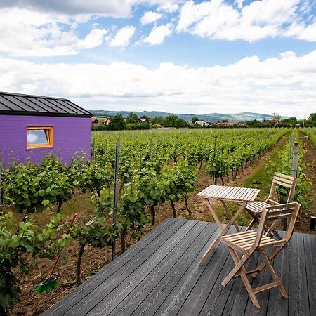 Tiny House In The Vineyard By Gramofon Wine Hotell Iordachianu Exteriör bild